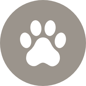 Pamper your pup at the dog spa or rooftop pet park
