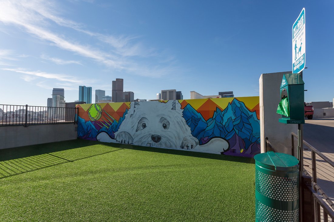 The Douglas Apartments Downtown Denver Apartments for Rent