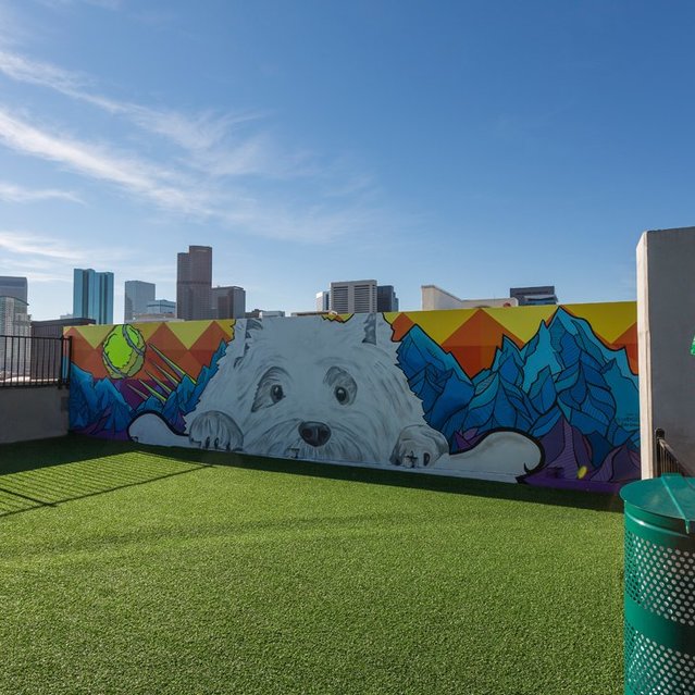 The Douglas Apartments Downtown Denver Apartments for Rent